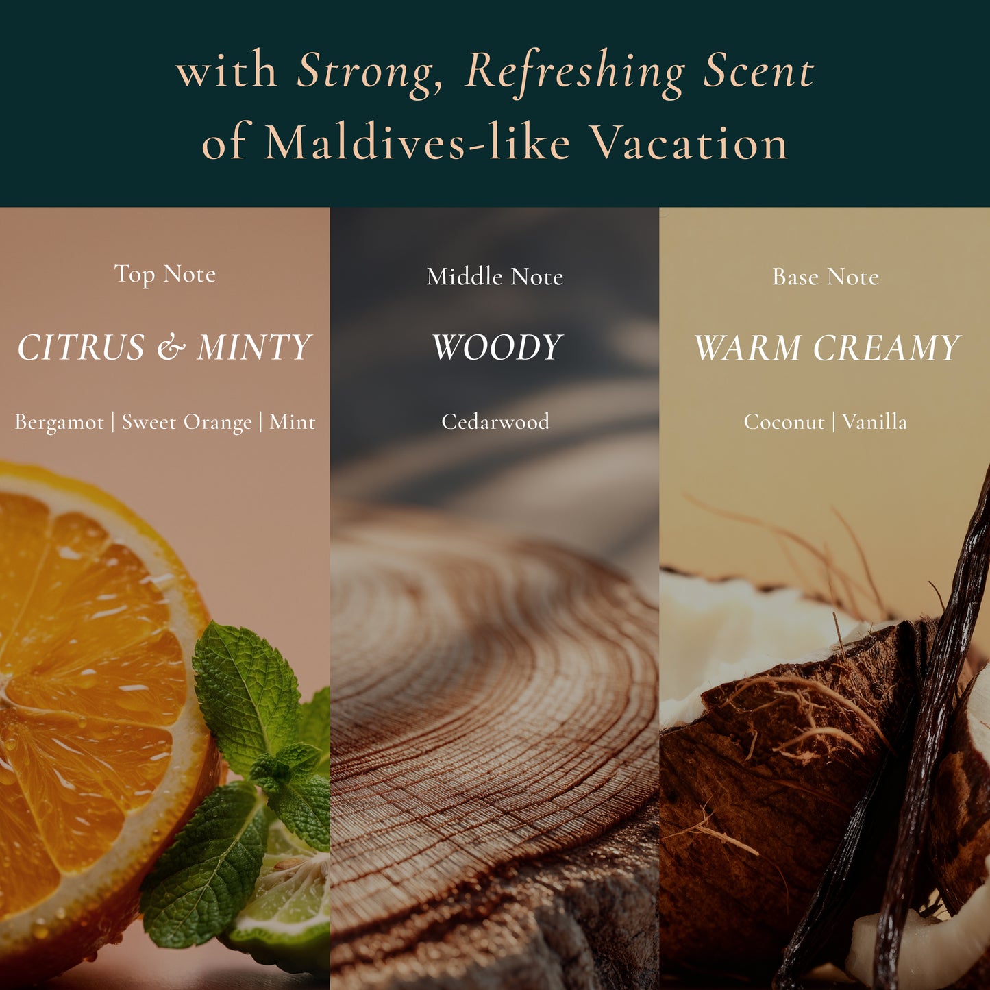 Revive Exta Serum, Lora Maldives